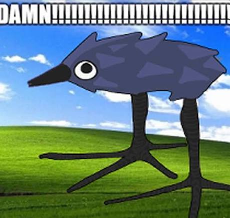 damnkawkaw